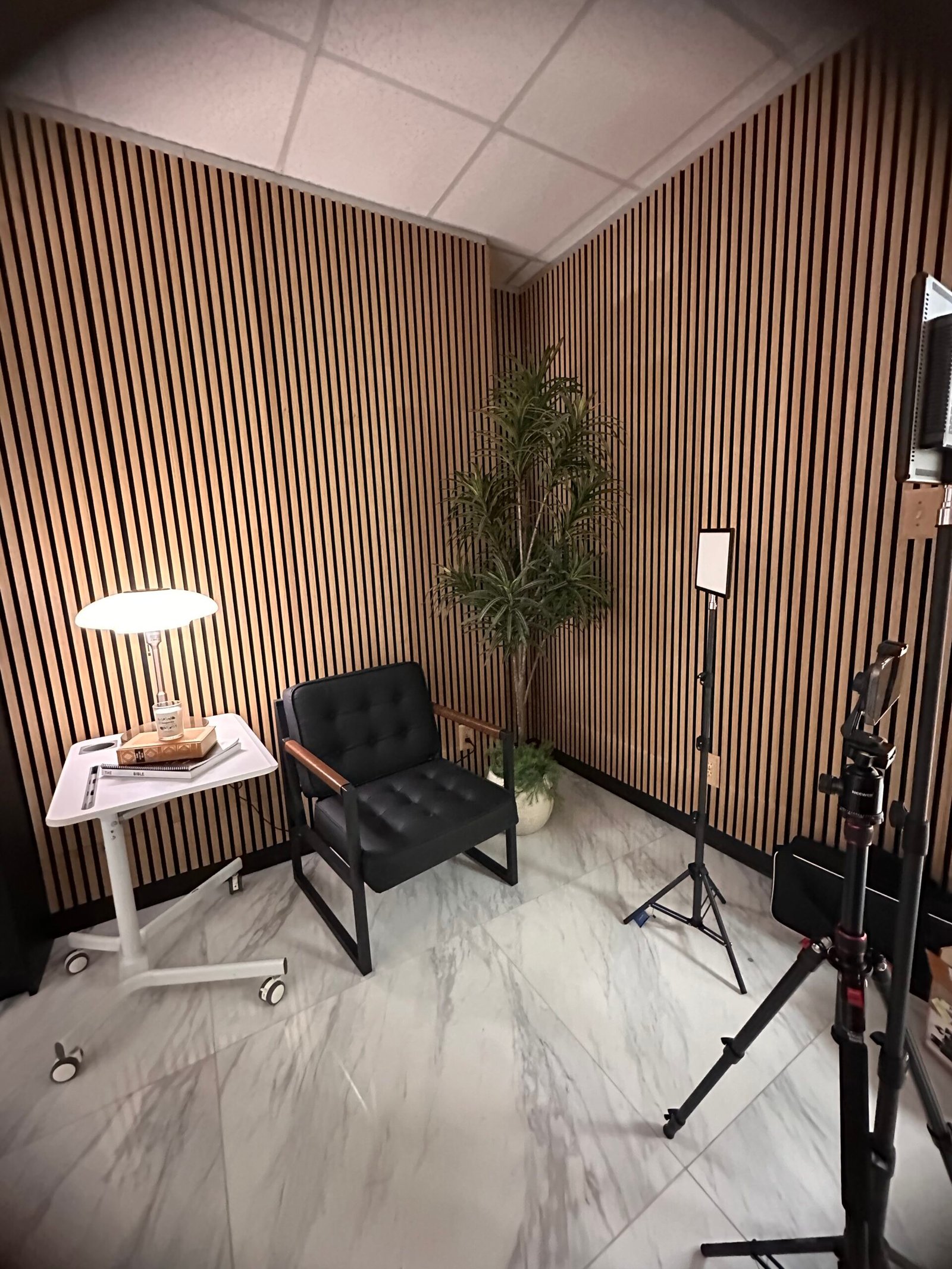 DHorse video filming studio with lighting, camera and chair